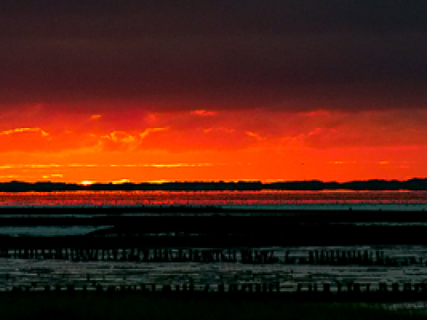 Neue Bilder in Mitgliedergalerie