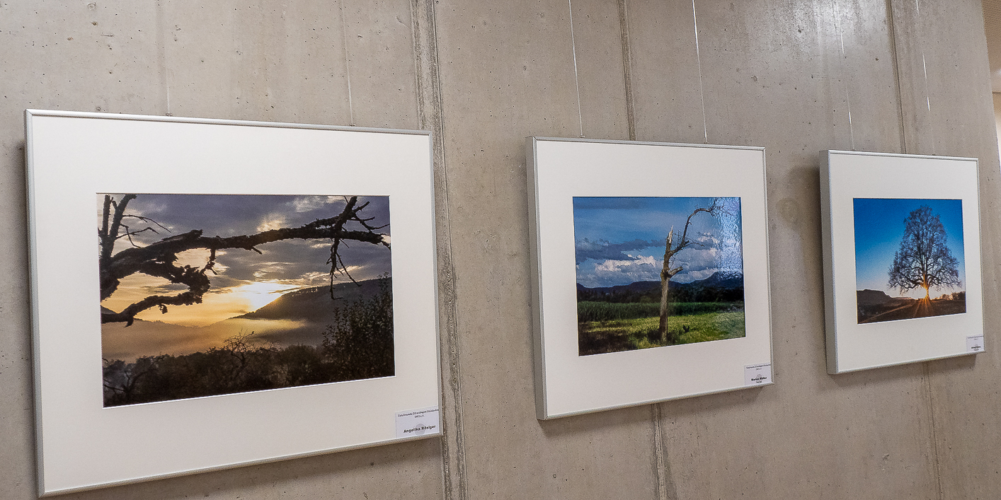 Ofterdinger Rathaus 1