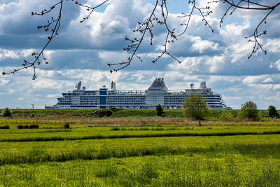 Angelika Schiff 2024 7131