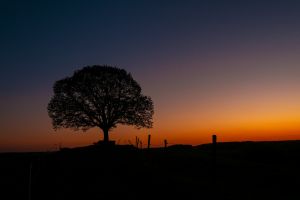 Olympus 20.04.22 20 35 17 01