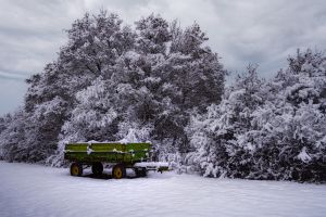 Olympus 21.01.14 16 43 37 01