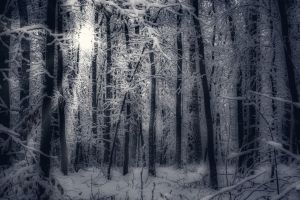 Olympus 21.01.14 16 56 29 01