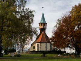 Tulpen Homepage  1540727