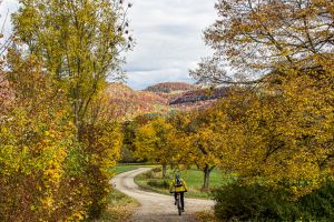 Radeln Richtung Talheim