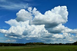 Reiterhof oberhalb Ofterdingen