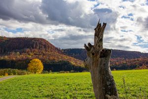 Wanderwege bei Talheim