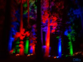 Christmas Garden Klara 1377310