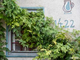 schmollinger konstanz f9234116 s