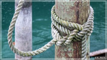 schmollinger konstanz f9254331 bearbeitet s