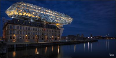 christian t.   export 2025 02