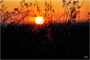 christian t.   export 2025 10 02