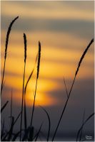 christian t.   export 2025 10 02