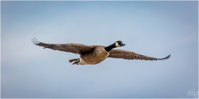 christian t.   export 2025 10 02