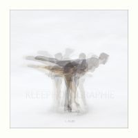 web990 cle2027zweimontage