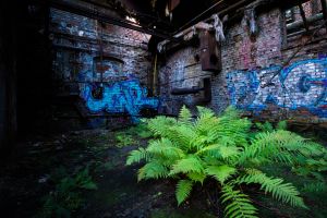 eisenwerke zwickau 9309