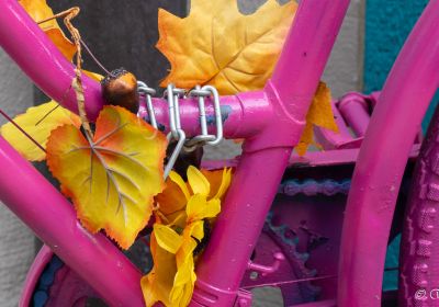 2024/10 FFO Jahresausflug (Bad Wimpfen)