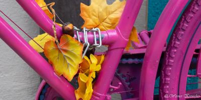 01 bad wimpfen pa190304 