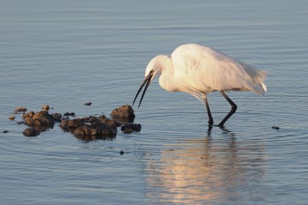 platz christiane henno71