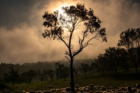 platz 1 klara dittrich rommel  11 