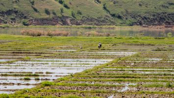 2022 06 07 m kirkistan