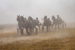 pferderennen provonce mg